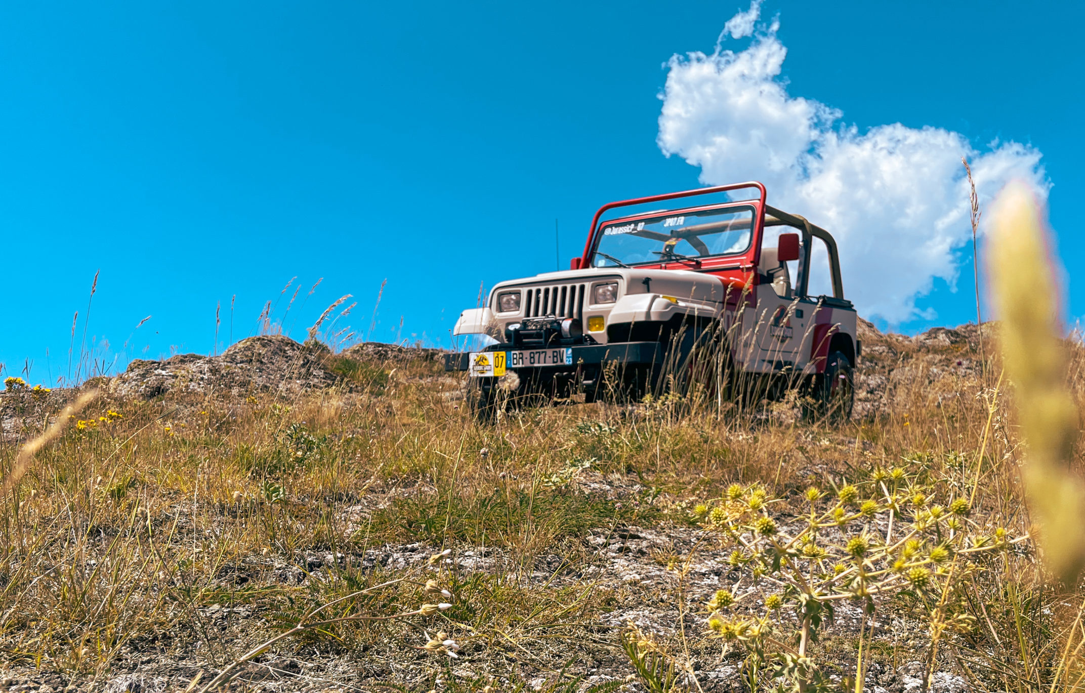 Jeep Wrangler YJ Jurassic Park